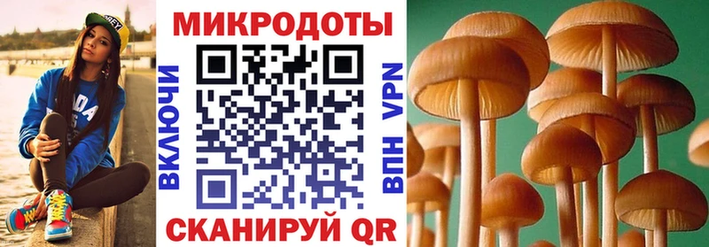 Псилоцибиновые грибы ЛСД  даркнет сайт  Березники 