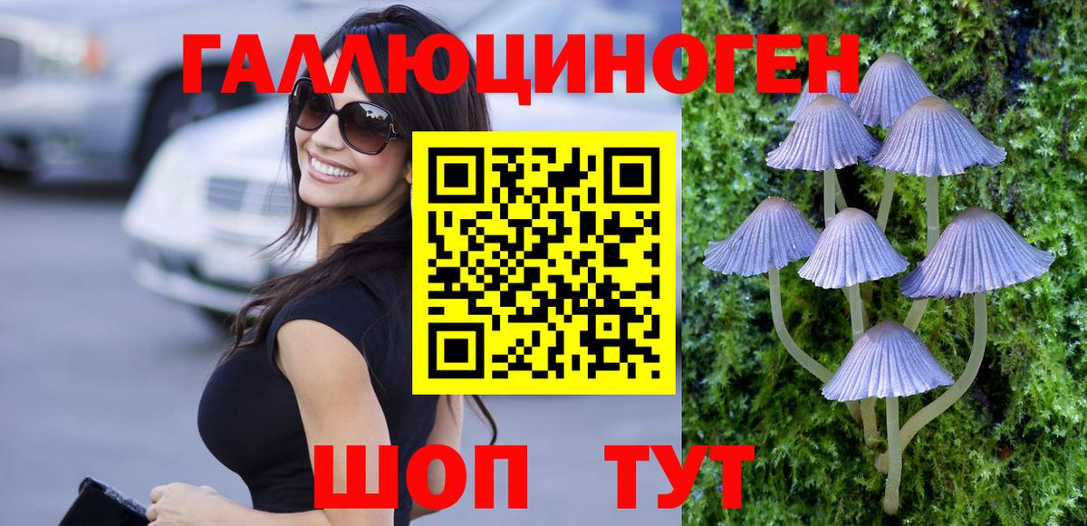 Псилоцибиновые грибы мухоморы Березники