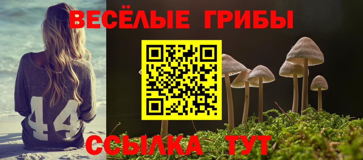 Псилоцибиновые грибы прущие грибы Березники