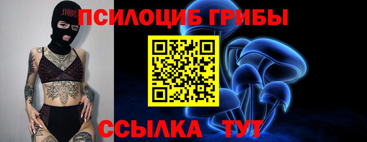 Березники  Галлюциногенные грибы MAGIC MUSHROOMS  Вход с VPN  Галлюциногенные грибы Psilocybe 